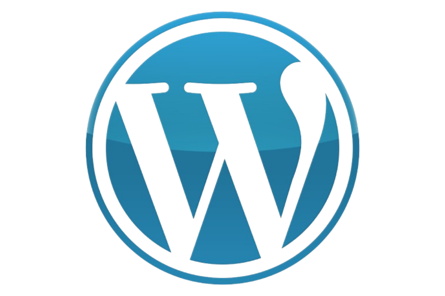 Digital Marketing Services wp