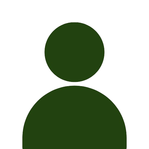 Digital Marketing Services person