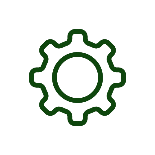 WordPress website setup